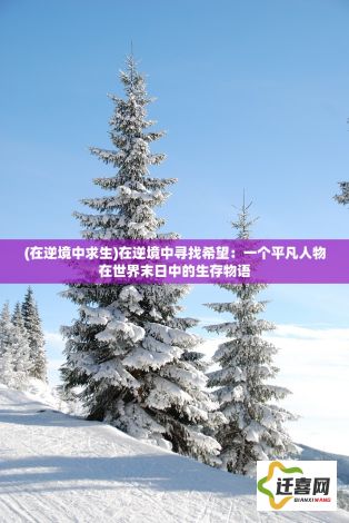 (在逆境中求生)在逆境中寻找希望：一个平凡人物在世界末日中的生存物语