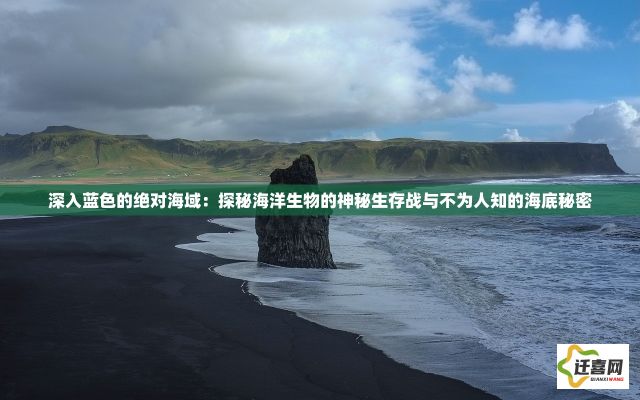 深入蓝色的绝对海域：探秘海洋生物的神秘生存战与不为人知的海底秘密