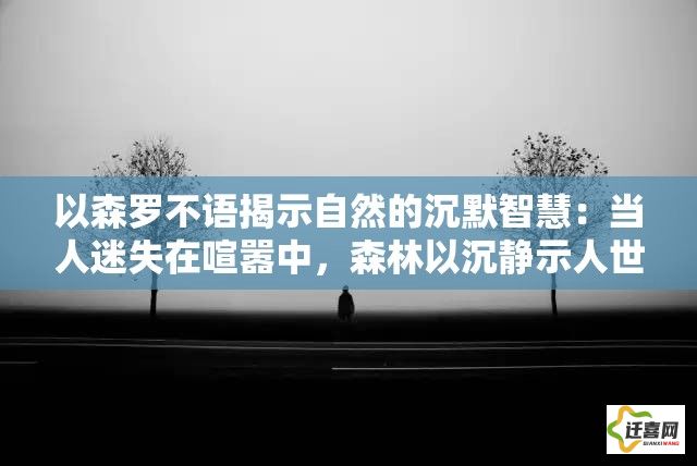 以森罗不语揭示自然的沉默智慧：当人迷失在喧嚣中，森林以沉静示人世何为平和