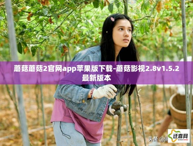 蘑菇蘑菇2官网app苹果版下载-蘑菇影视2.8v1.5.2最新版本