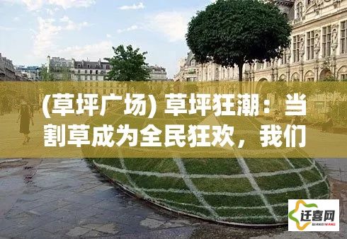 (草坪广场) 草坪狂潮：当割草成为全民狂欢，我们如何应对草丛中的隐藏挑战？