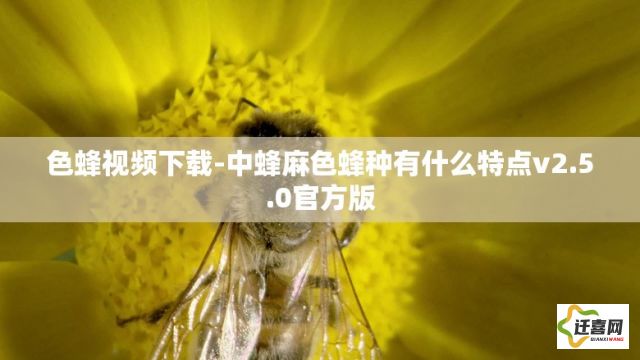 色蜂视频下载-中蜂麻色蜂种有什么特点v2.5.0官方版