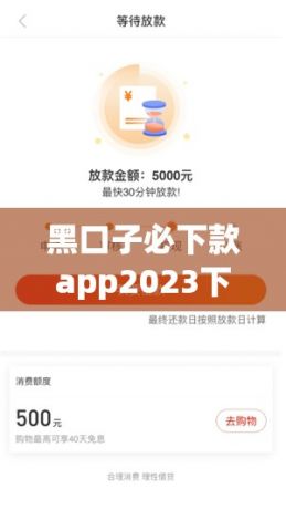 黑口子必下款app2023下载-有什么黑口子稳下款的吗v0.4.1最新版