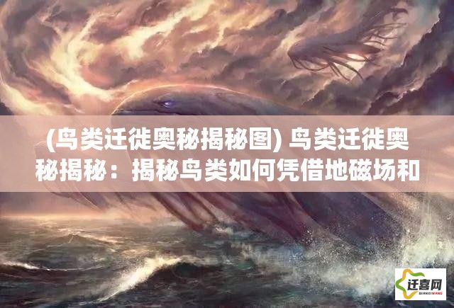 (鸟类迁徙奥秘揭秘图) 鸟类迁徙奥秘揭秘：揭秘鸟类如何凭借地磁场和恒星导航，实现跨越千里的迁徙壮举。